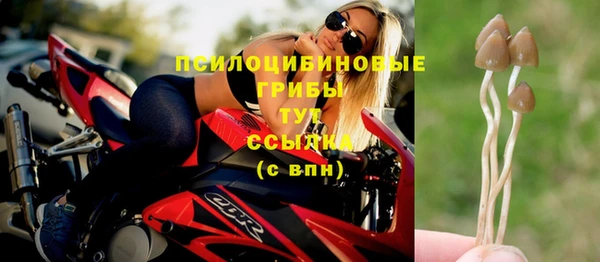 spice Каменногорск