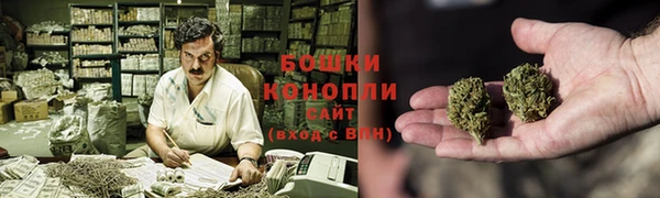 стаф Каменка